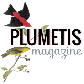 logo_plumetis